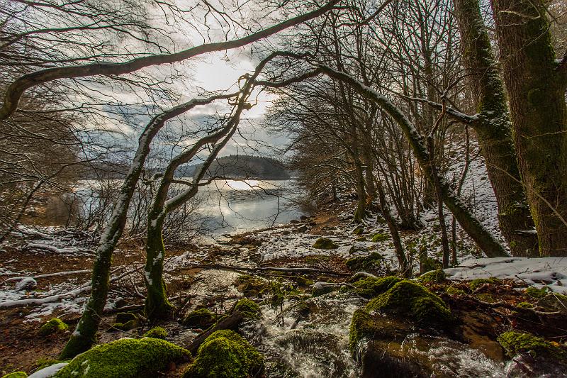 2018_02_10_Lac de Chaumecon (0056).jpg - lac de Chaumeçon (février 2018)